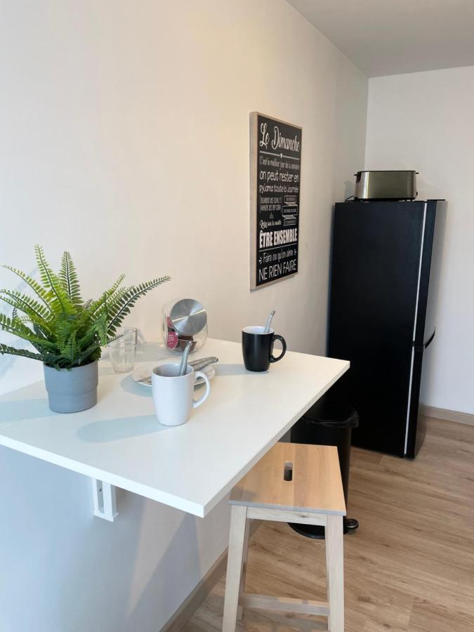 Appartement Du Grand Parc Châteauroux المظهر الخارجي الصورة